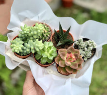 Load image into Gallery viewer, A BOX OF HAPPINESS berrykinn
