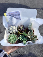 Load image into Gallery viewer, A BOX OF HAPPINESS berrykinn
