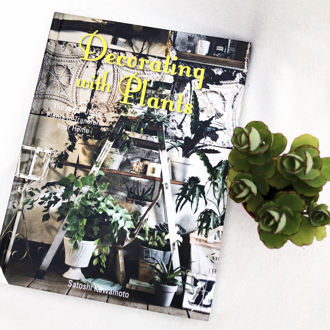 DECORATING WITH PLANTS berrykinn