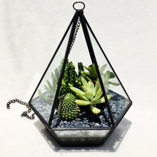 Load image into Gallery viewer, Geometry Glass Succulents Arrangement berrykinn
