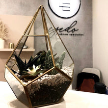Load image into Gallery viewer, Geometry Glass Succulents Arrangement berrykinn
