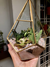 Load image into Gallery viewer, Geometry Glass Succulents Arrangement berrykinn
