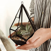 Load image into Gallery viewer, Geometry Glass Succulents Arrangement berrykinn
