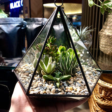Load image into Gallery viewer, Geometry Glass Succulents Arrangement berrykinn
