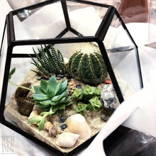 Load image into Gallery viewer, Geometry Glass Succulents Arrangement berrykinn
