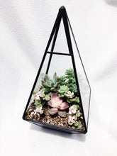 Load image into Gallery viewer, Geometry Glass Succulents Arrangement berrykinn
