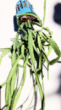 Load image into Gallery viewer, MISTLETOE CACTUS (HANGING)
