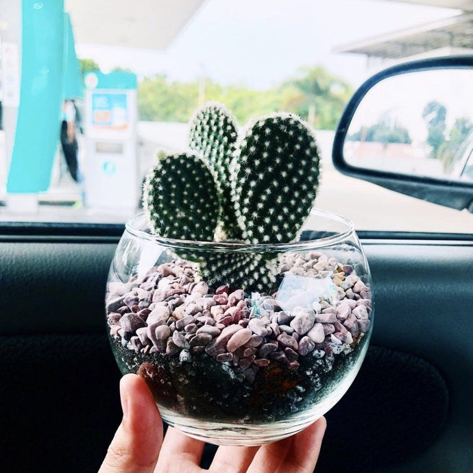 Jar Of Love berrykinn
