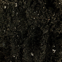 Load image into Gallery viewer, ORGANIC SOIL (1KG) berrykinn
