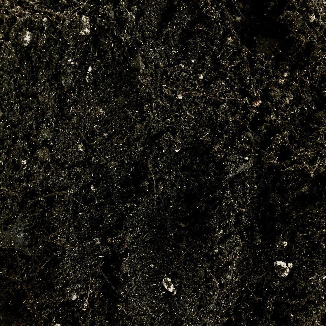 ORGANIC SOIL (1KG) berrykinn