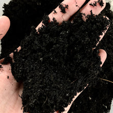 Load image into Gallery viewer, ORGANIC SOIL (1KG) berrykinn
