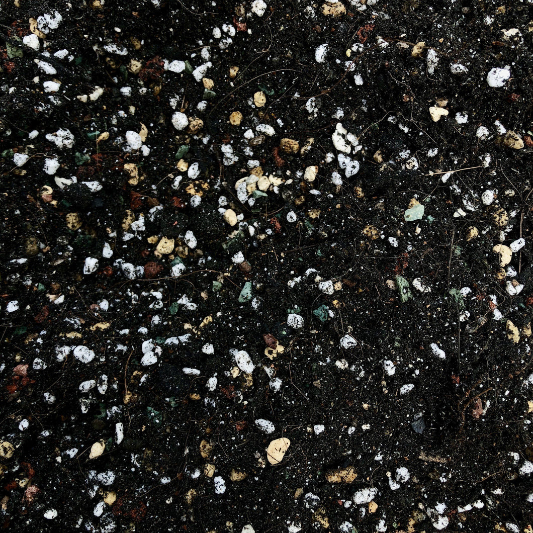 SOIL FOR CACTUS AND SUCCULENTS (1KG) berrykinn