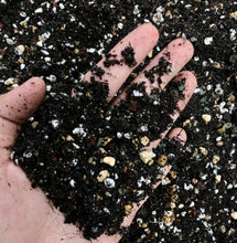 Load image into Gallery viewer, SOIL FOR CACTUS AND SUCCULENTS (1KG) berrykinn
