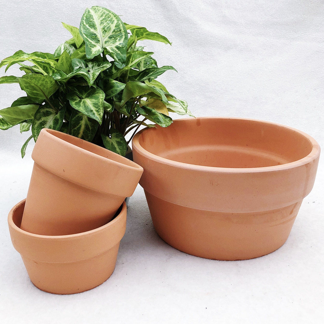 TERRACOTTA POTS berrykinn