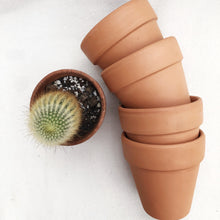Load image into Gallery viewer, TERRACOTTA POTS berrykinn
