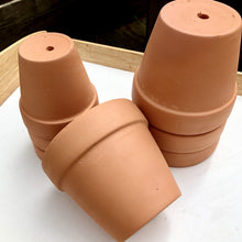 Load image into Gallery viewer, TERRACOTTA POTS berrykinn
