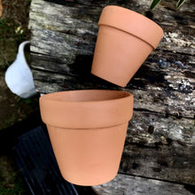 Load image into Gallery viewer, TERRACOTTA POTS berrykinn
