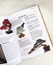 Load image into Gallery viewer, THE LITTLE BOOK OF BONSAI berrykinn
