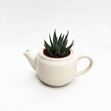 Load image into Gallery viewer, Teapot Luv berrykinn
