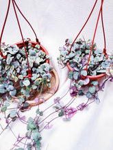 Load image into Gallery viewer, VARIEGATED STRING OF HEARTS berrykinn

